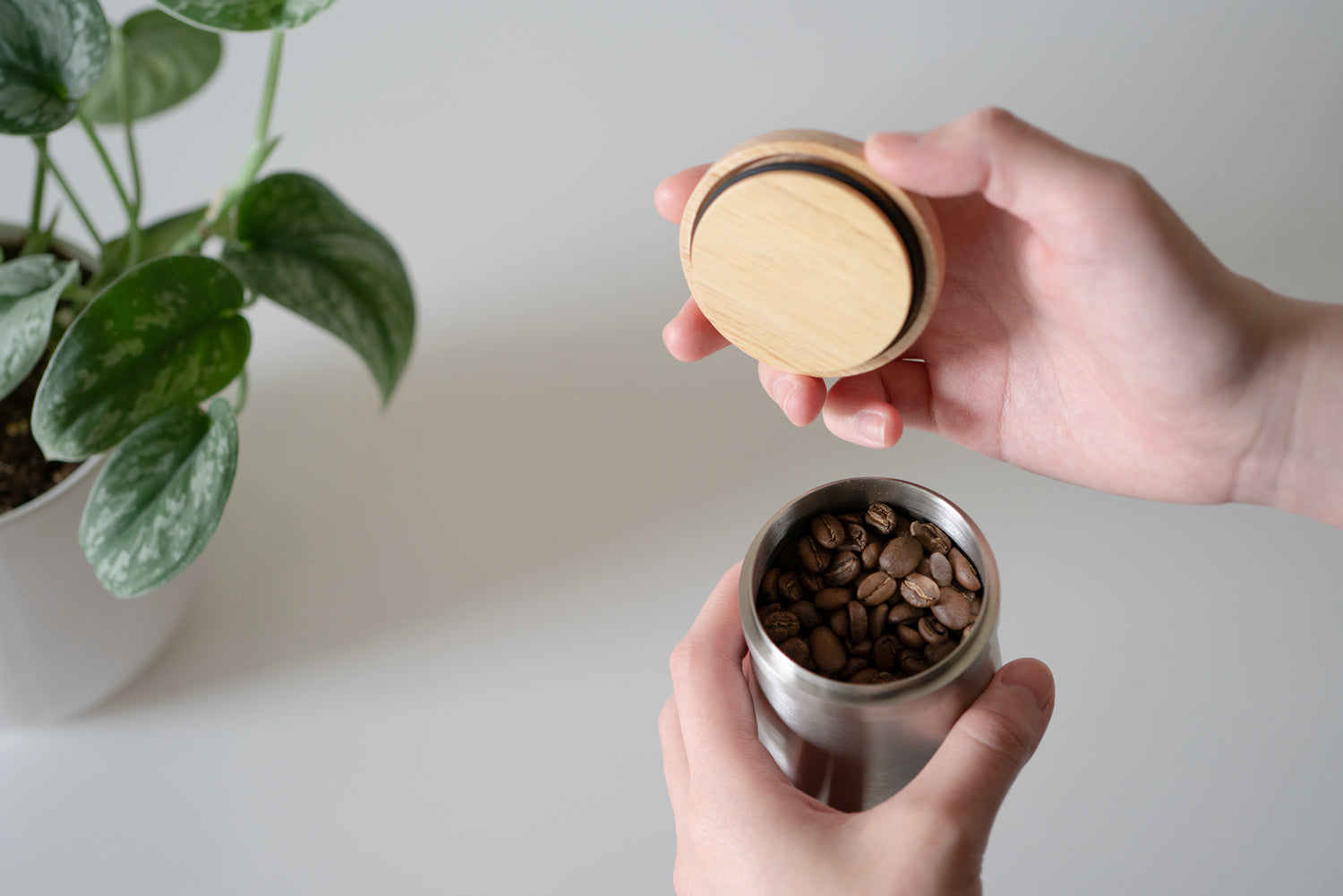 Portafilter Dosing Cup & Storage Lid Medium